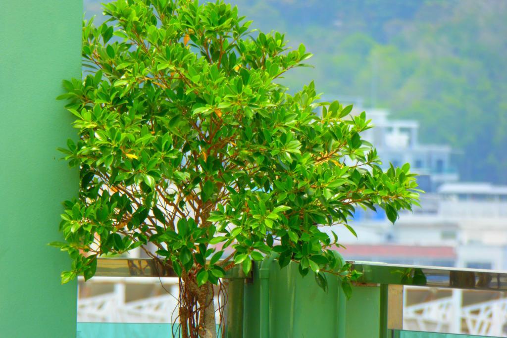 Add Plus Hotel & Spa Patong Екстер'єр фото